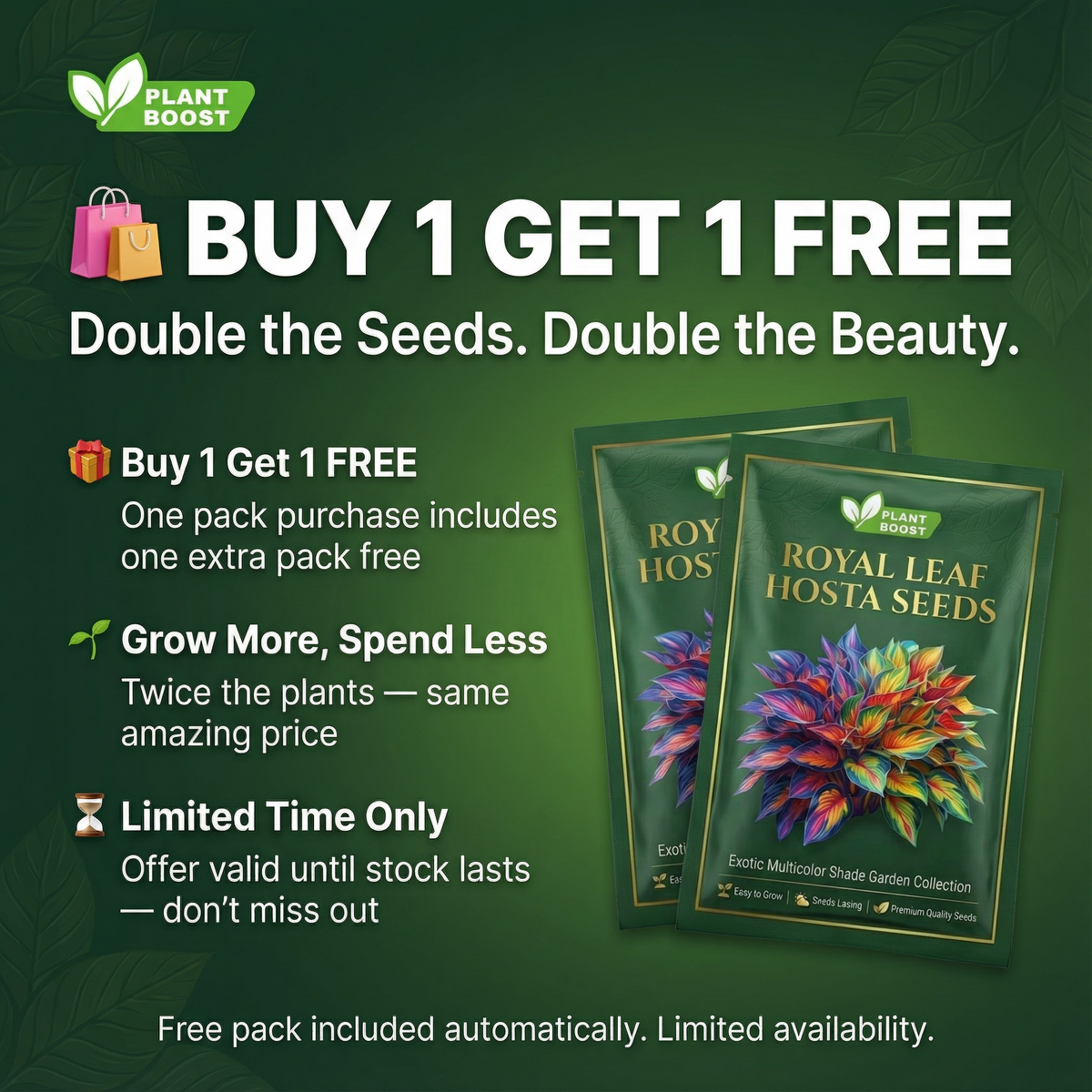 Royal Leaf Hosta Seeds